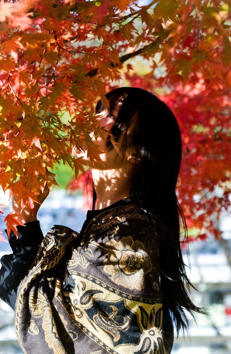 Po1vodeestrella's tweet image. model/@mika0314__

『秋風の燦歌.2』

#po1vodeestrella_ptr