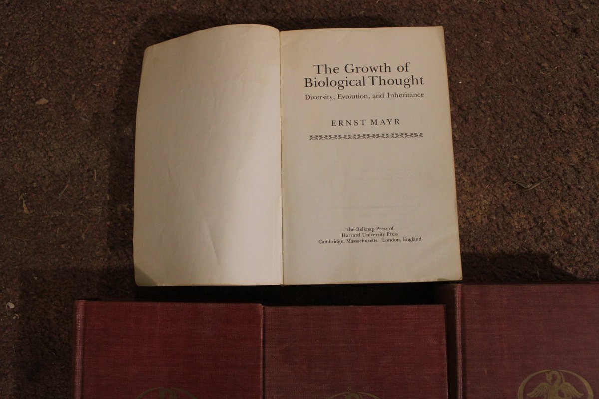 docsanderson's tweet image. #Vendetta #Evolution #Mutation #BioElectricalInduction #Biologists #Scientists @Ginger_Zee this is where i get Pure Evil on Magdalena. @Nature another One of my 1st Editions. you were 13 years old. you have all of Biological Form in your Brain. Cognizantly. i go beyond form Lelon