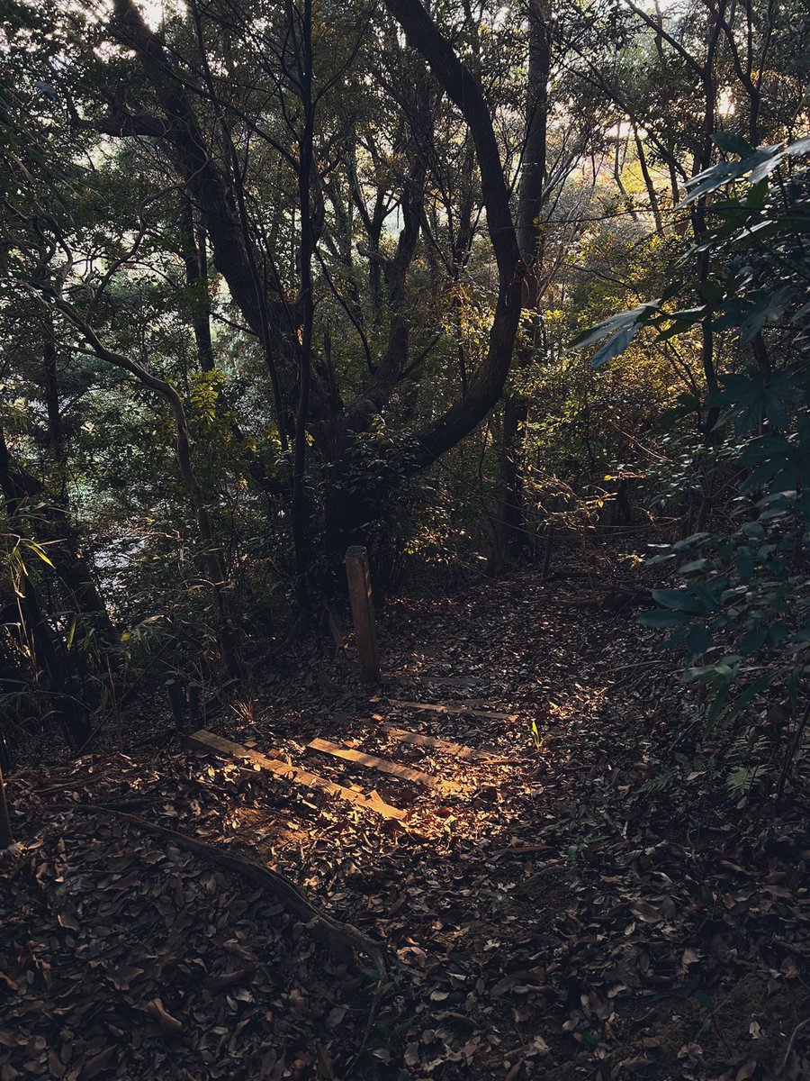 神社に行くと写真を撮ったりしてるんだけど、私が撮った写真なんか暗いので上げたりうーんとなって消したり…今日行った浅間様（富士神社）は狛犬が垂れ耳舌ペロで可愛かったです。登り口の鳥居をくぐって山を登ると頂上が富士山のお鉢のようにぐるりと回れるようになってて良かったです