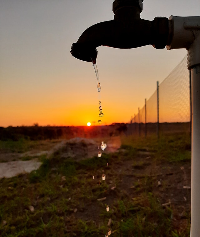 IMGWmeteo's tweet image. Czy w 2025 roku była susza?🤔
Jedni na długo zapamiętają niezwykle suche warunki wiosną (...) Inni powiedzą, że przecież od maja często i mocno padało.
Jak było naprawdę?
Zachęcamy do lektury!
👉 obserwator.imgw.pl/2025/11/19/czy…
#IMGW #obserwator #susza #hydrologia #wody #uprawy