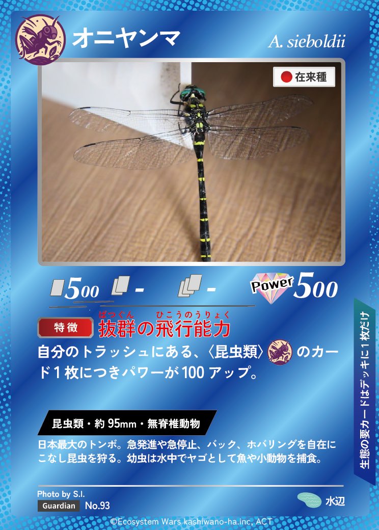 Ecosystem_Wars's tweet image. 🟦✨【オニヤンマ】カード化フォトコンテスト
🎉S.I.さん、おめでとうございます！🎉

日本最大のトンボ、オニヤンマ。
急発進・急停止・バック・空中静止（ホバリング）までこなす、昆虫界トップクラスの飛行能力を持つ捕食者です。

空中の昆虫を瞬時に捉える狩りの精度はまさに“空のハンター”。…