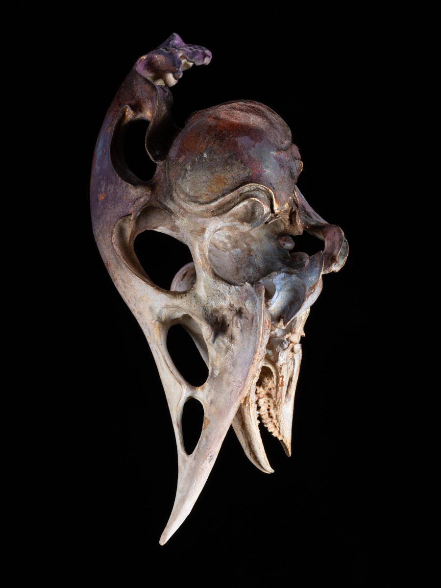 SUMART_official's tweet image. 【お知らせ】究極造形 第2弾 石野平四郎作品『moon dragon』の受注を開始しました。   
 キット：sum-art.jp/items/122919063
塗装済み完成品：sum-art.jp/items/125616856