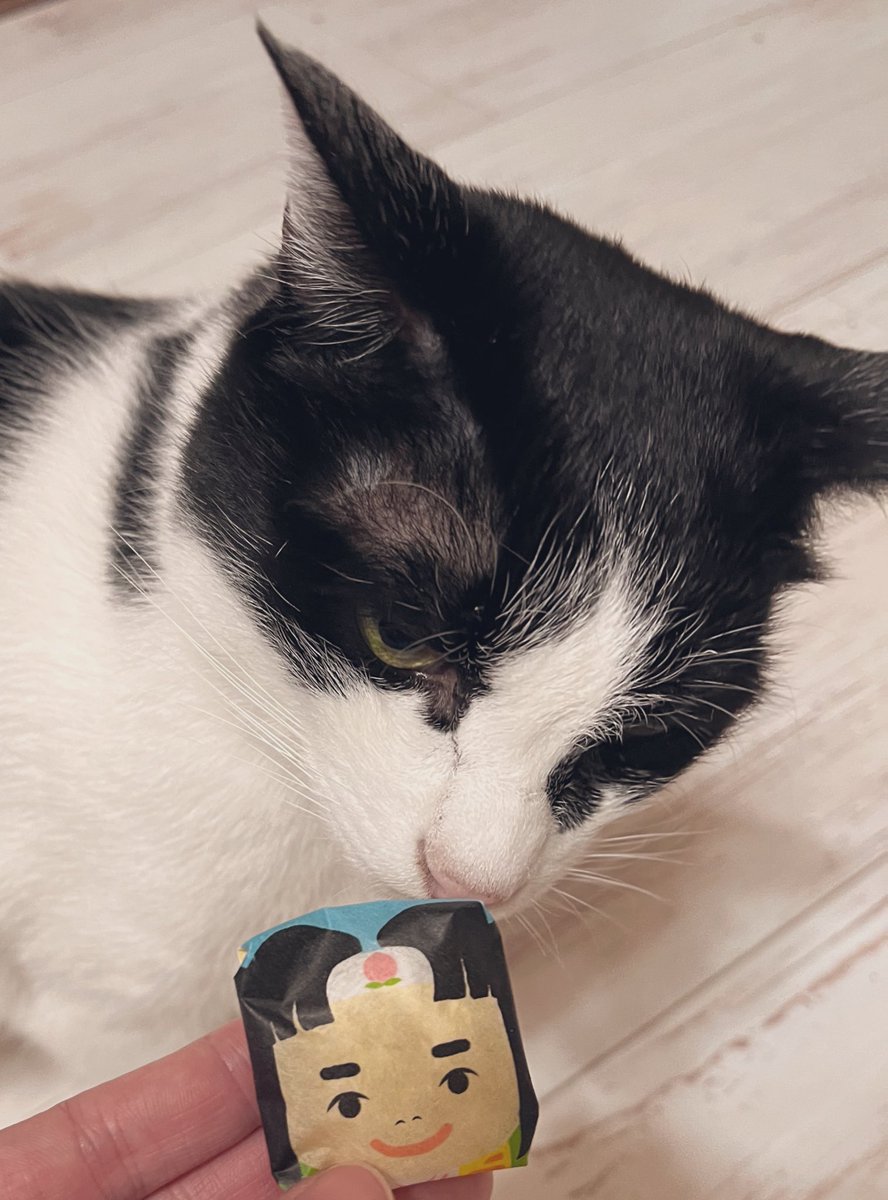 rokorokorokou's tweet image. 