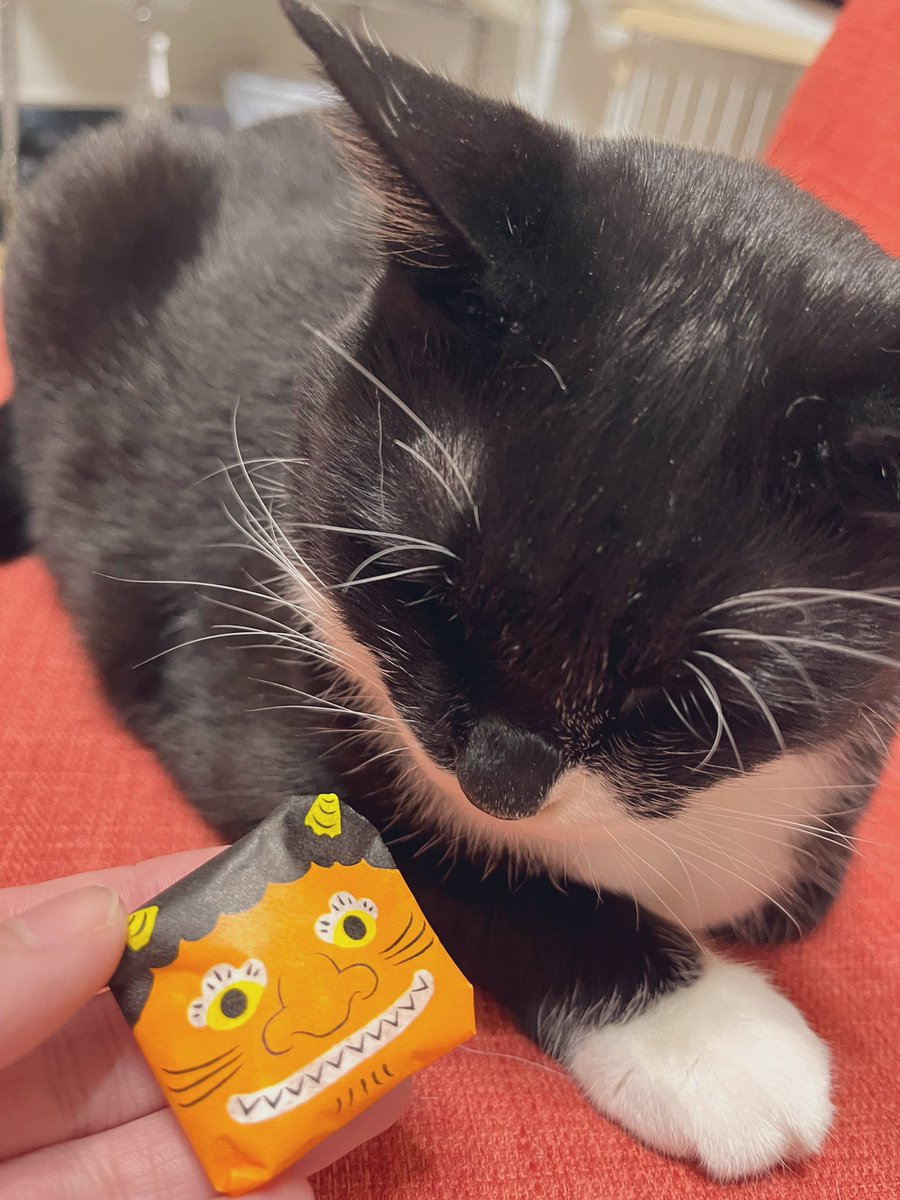 rokorokorokou's tweet image. 