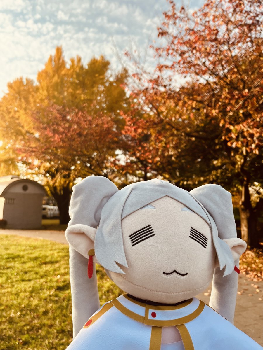 紅葉のフリーレン