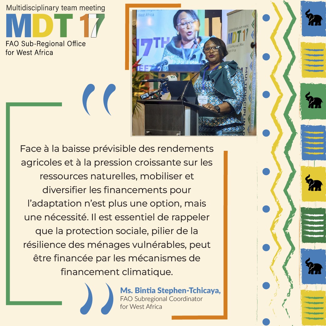 17ᵉ Réunion de l’Équipe Multidisciplinaire de la
<a href="/FAOWestAfrica/">FAO West Africa</a>
Abidjan, Côte d’Ivoire – du 18 au 21 novembre 2025.  Déclaration
<a href="/BTchicaya/">Bintia Stephen Tchicaya</a>

#FAOSFWMDT17
#FAO80