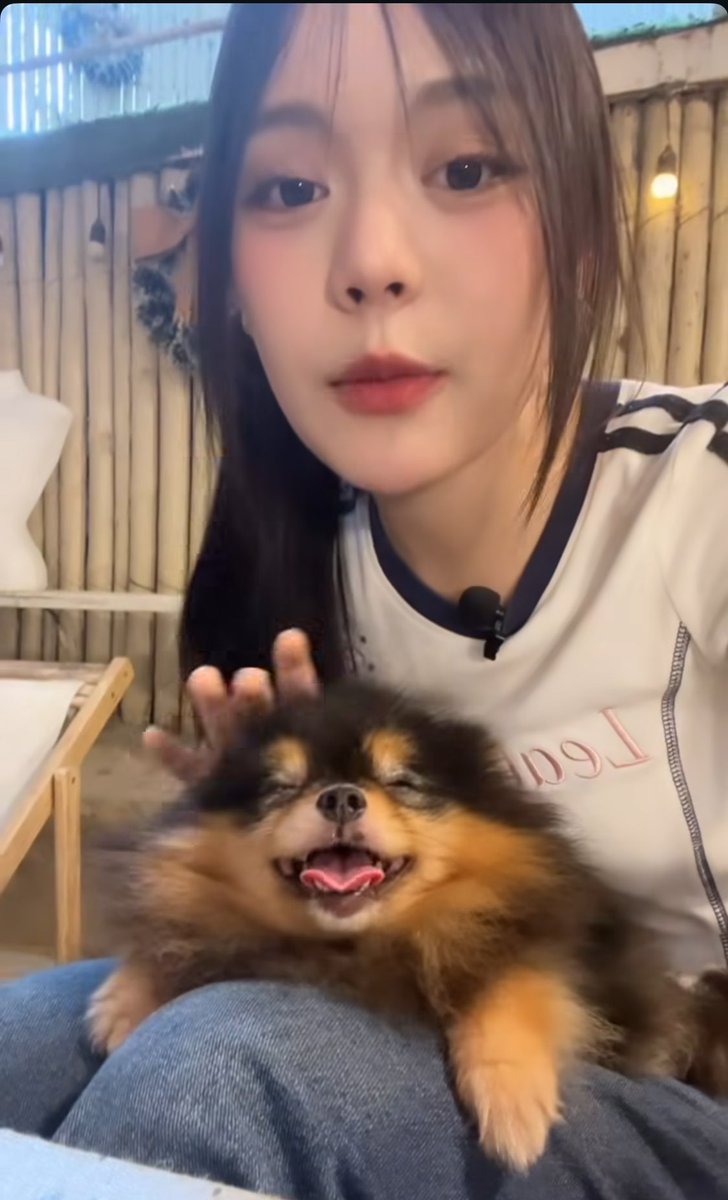 TheKProject2's tweet image. คนหนายนิชชุนคะะะ?!