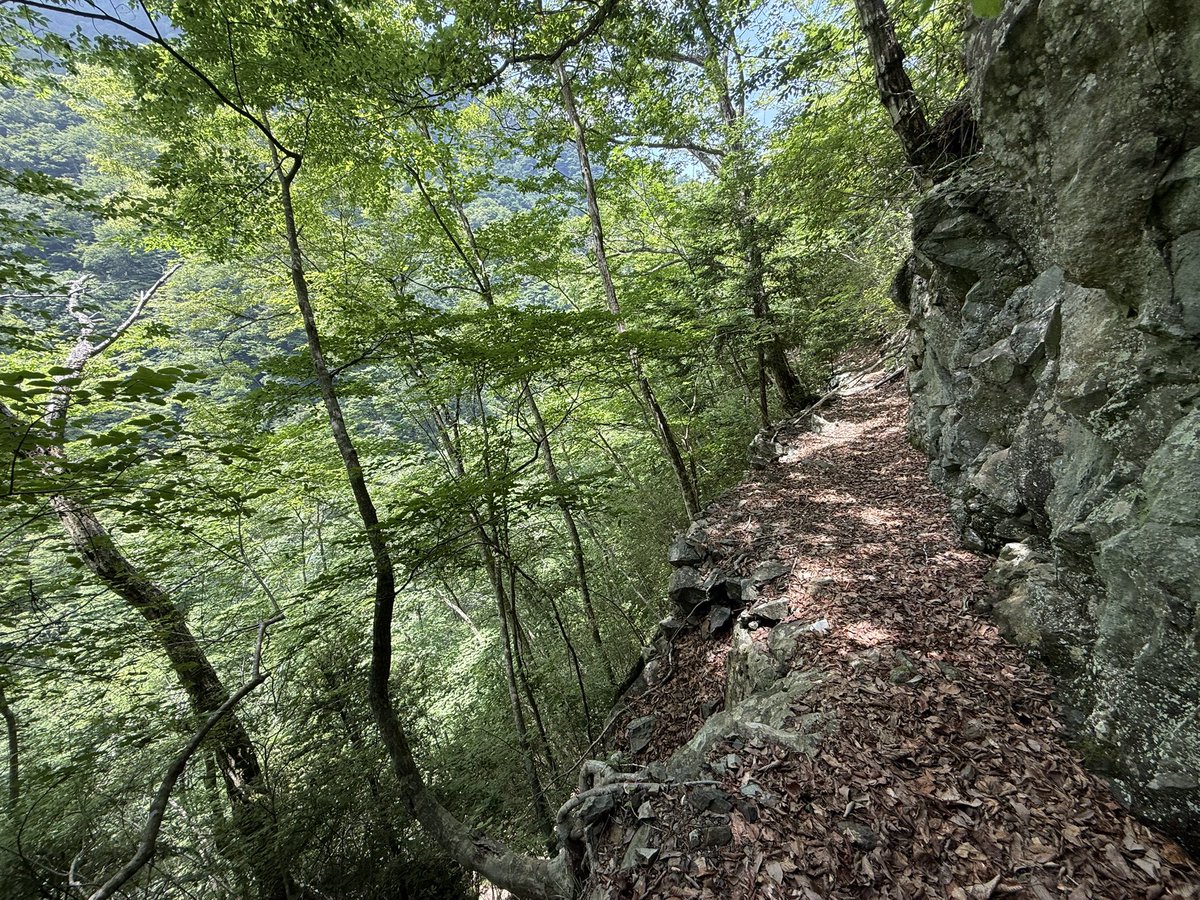noiseandblame's tweet image. 山梨県より雨河内川沿いの木馬道にて。
地理院地図にも記載され登山道として再利用されている区間は、石垣もしっかりしているし徒歩道用に橋も架け直されているので、危なげなく歩く事ができる。
一方で地理院地図にも記載されていない奥部の区間は、恐ろしい断崖絶壁の杣道が細々と続いている…。