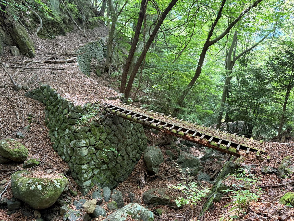 noiseandblame's tweet image. 山梨県より雨河内川沿いの木馬道にて。
地理院地図にも記載され登山道として再利用されている区間は、石垣もしっかりしているし徒歩道用に橋も架け直されているので、危なげなく歩く事ができる。
一方で地理院地図にも記載されていない奥部の区間は、恐ろしい断崖絶壁の杣道が細々と続いている…。
