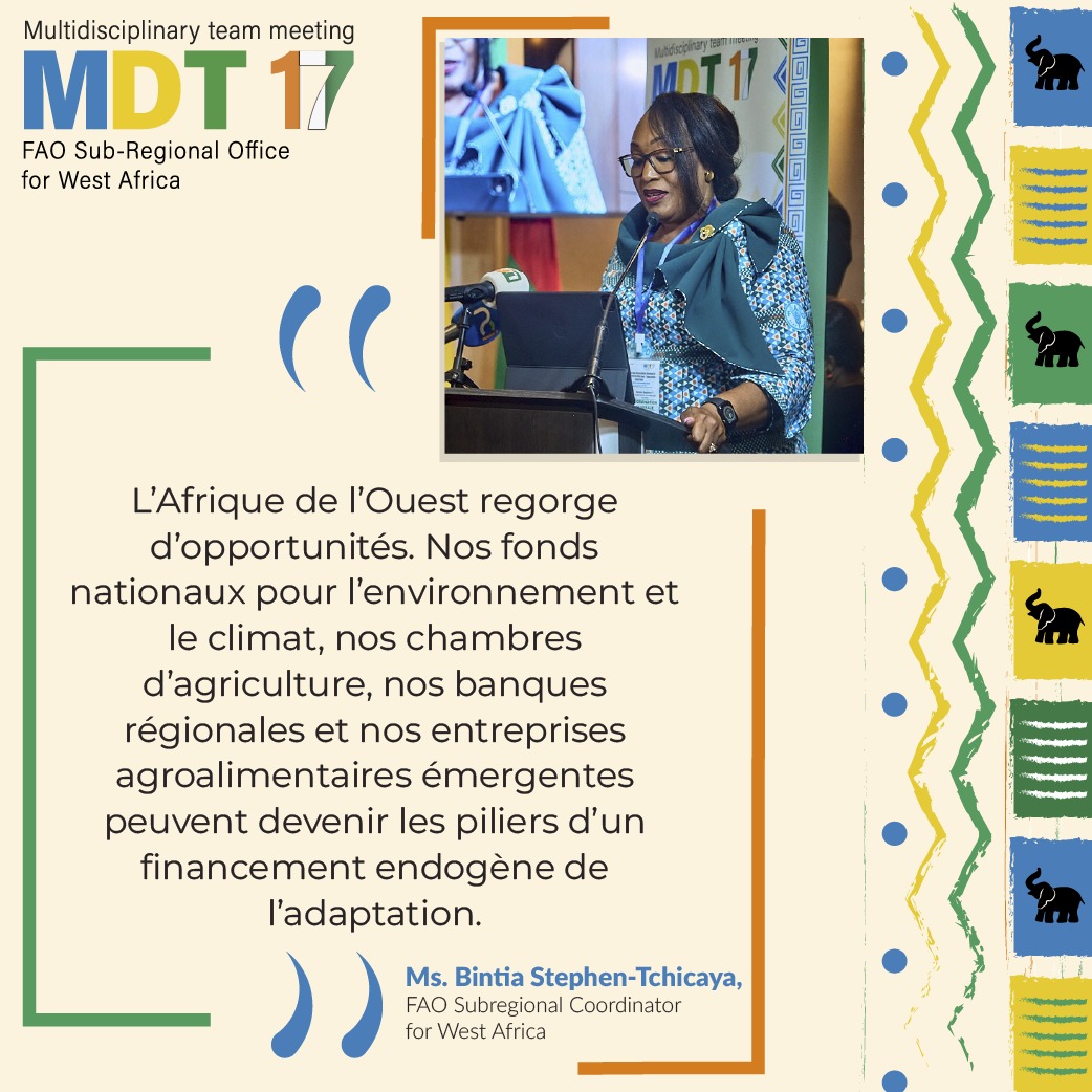 17ᵉ Réunion de l’Équipe Multidisciplinaire de la
<a href="/FAOWestAfrica/">FAO West Africa</a>
Abidjan, Côte d’Ivoire – du 18 au 21 novembre 2025.  Déclaration
<a href="/BTchicaya/">Bintia Stephen Tchicaya</a>

#FAOSFWMDT17
#FAO80