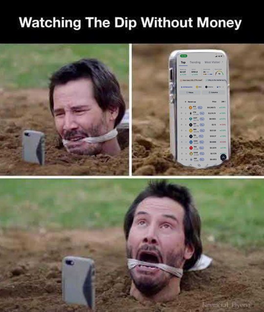 CryptoVikings07's tweet image. 