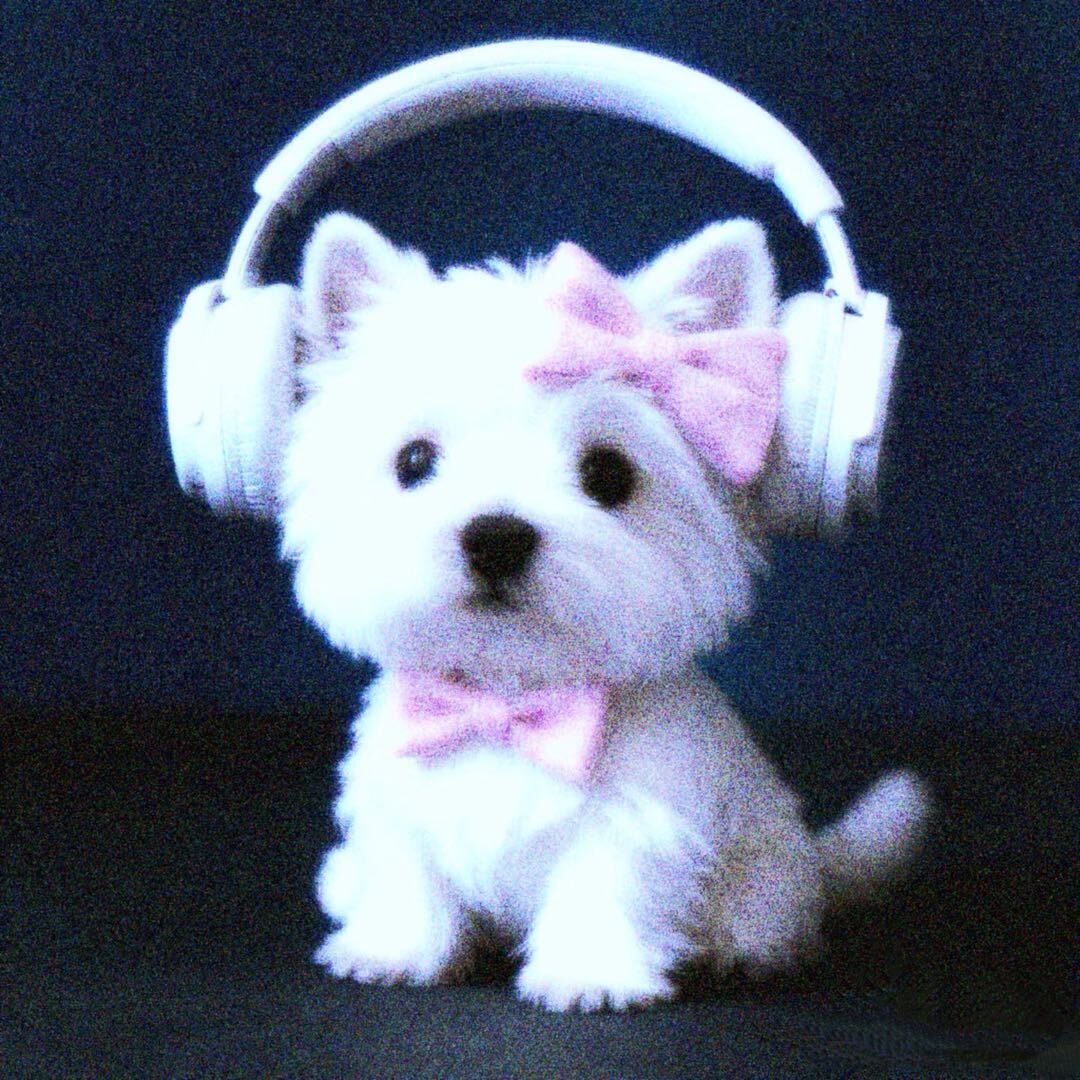 Bread_baekhyun's tweet image. ·🍄 🎀 ₍˄·͈༝·͈˄*₎◞ ̑̑

| 251012
&amp;lt;Reverie&amp;gt; in KOBE
#백현 #BAEKHYUN #Reverie  #ベッキョン