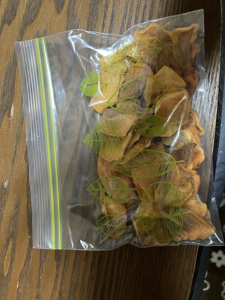 自室に戻りました🍀︎✨ さて、これは何でしょうか？⬇️ 一応クイズの