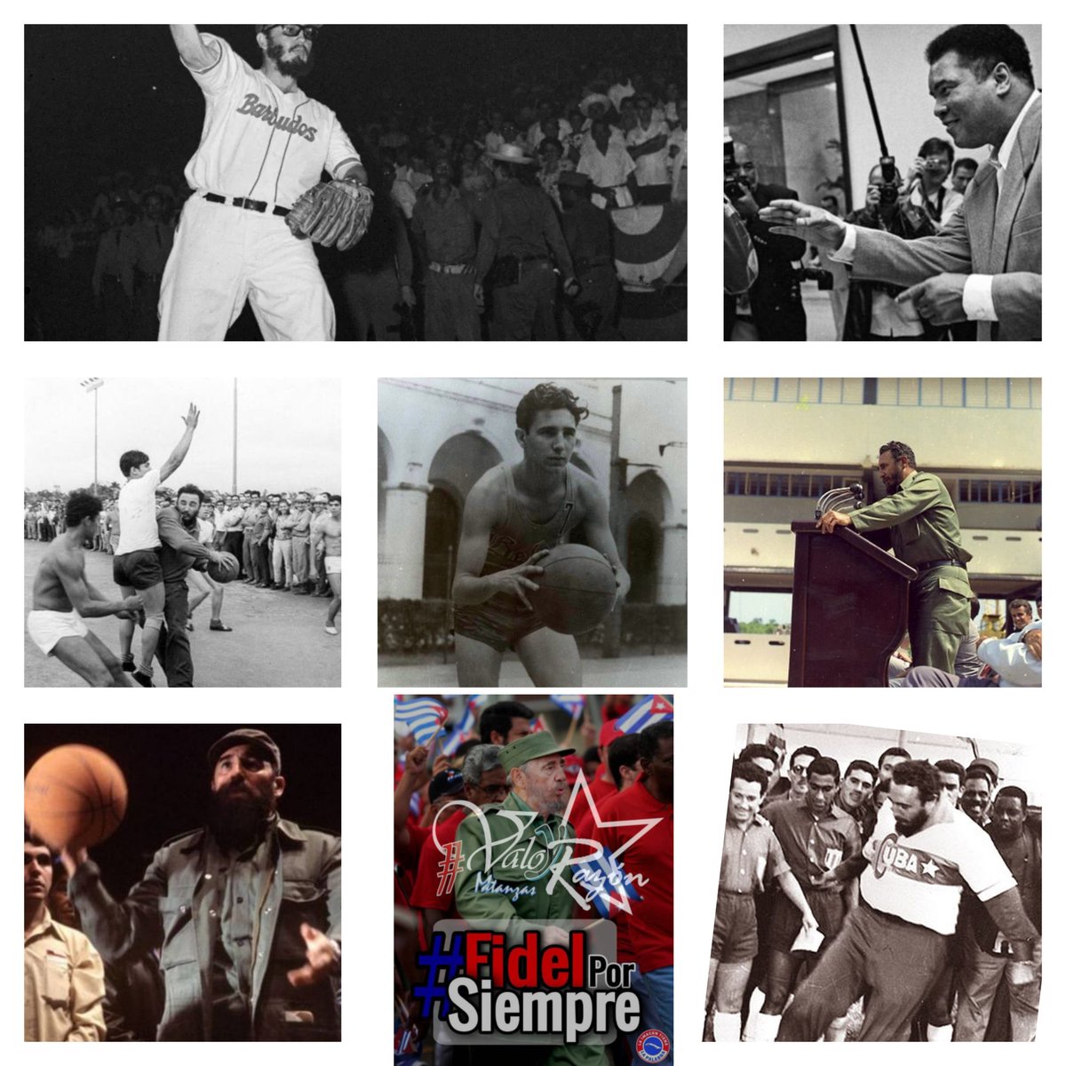 Cada 19 de noviembre Cuba conmemora el surgimiento del deporte revolucionario. Ese es uno de los legados más perdurables del Comandante en Jefe: haber hecho del deporte un motivo de orgullo nacional.
#100AñosConFidel
#ValorYRazón 
#CubaEsDeporte