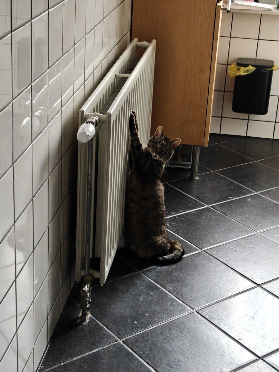 Iemand heeft het koud