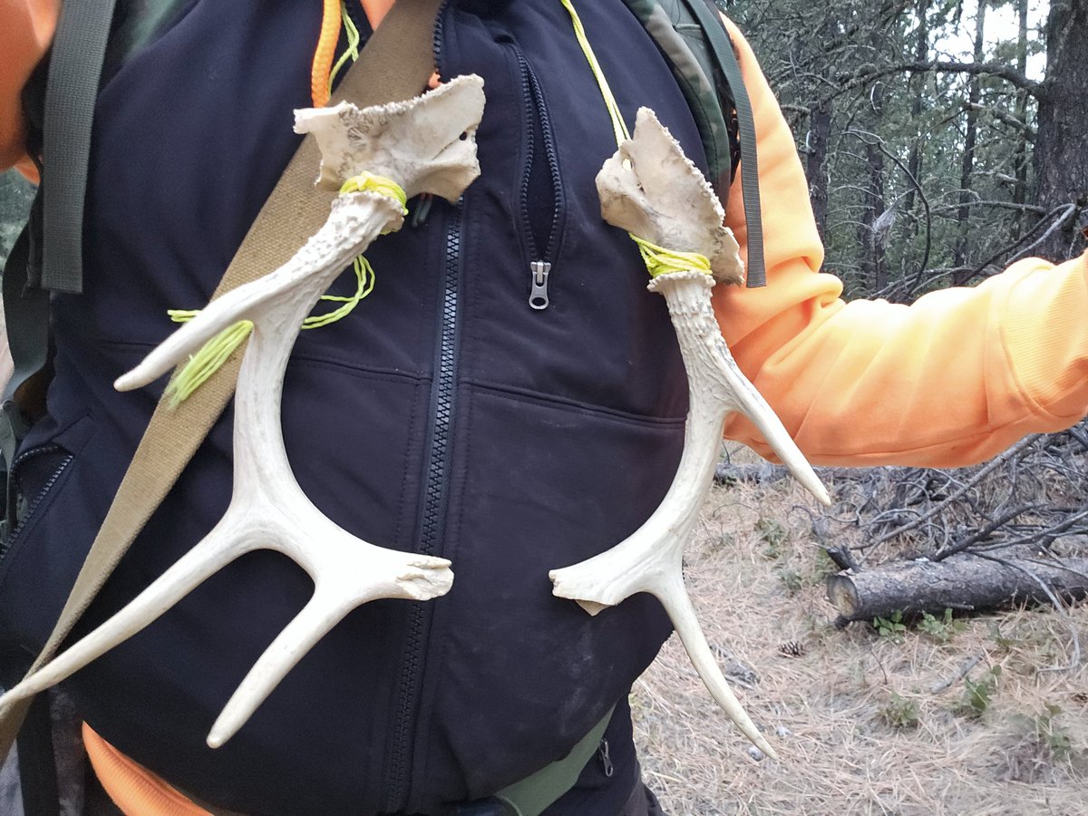 Modernist woke scolds often become upset with traditional beliefs. 

Do you find that rejection of traditional knowledge and ways of being is primarily Progressive conceit?