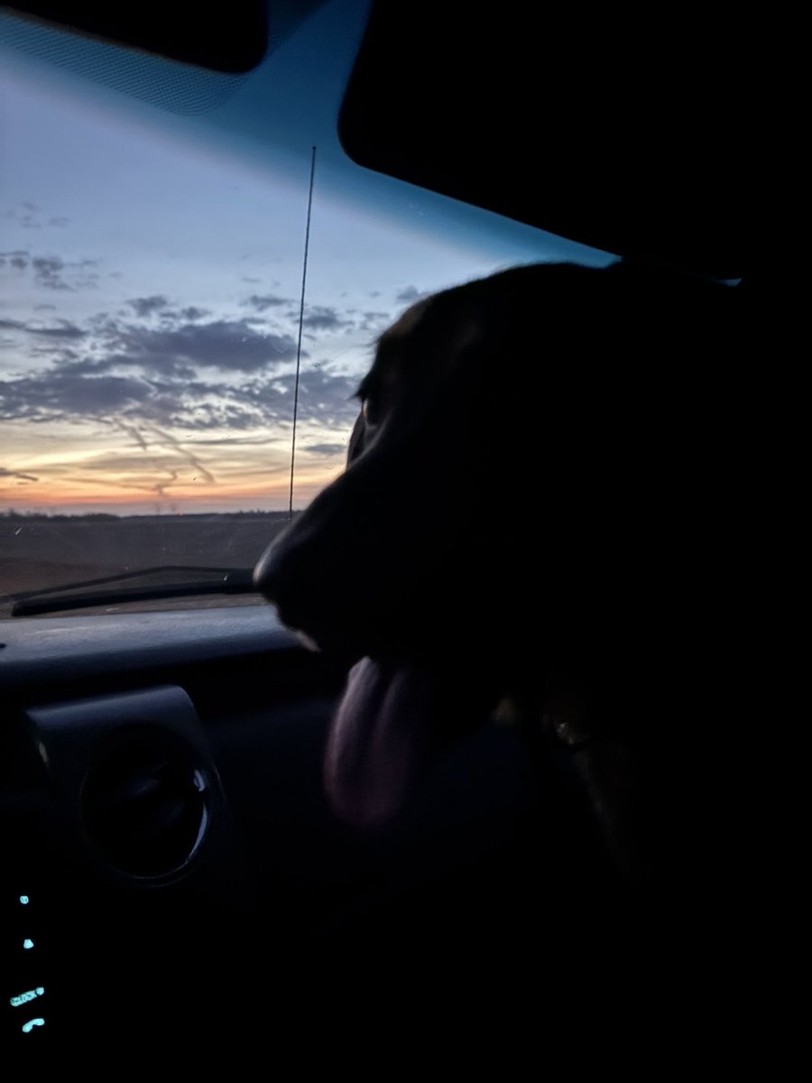 GM web3 ⛅️
~ reload, recalibrate and than go back out on the attack.