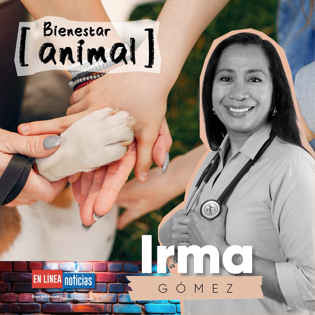 elineanoticias's tweet image. 🎙️ Vía telefónica saludamos en su colaboración a @IrmaEtologa
Médico Veterinaria Zootecnista 👩‍⚕️🐾

📻 Sintoniza @LaKeBuenaPuebla 1010 AM 89.7 FM con @verolopez_10 y @erickbecerra1

#EnLíneaNoticias
#BienInformado 📰
#MejorConectado 🧑‍💻

elineanoticias.com