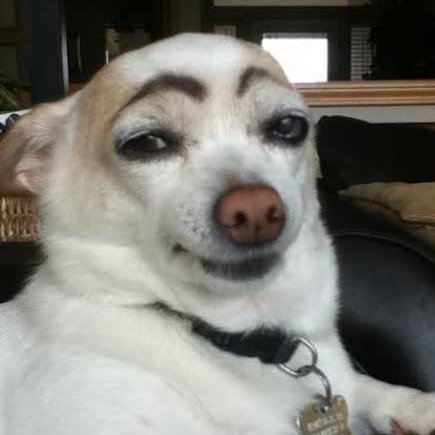 sinuhedotcom's tweet image. ¡Basta de falsas cejas!