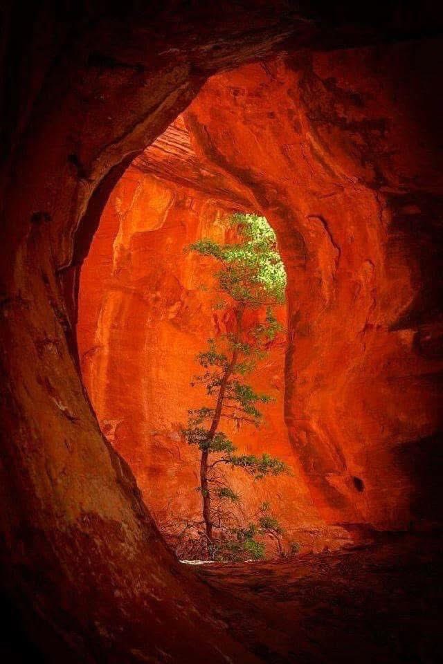 Satisfy us in the morning with your unfailing love, that we may sing for joy and be glad all our days. ~Psalm 90:14

Boynton Canyon, AZ