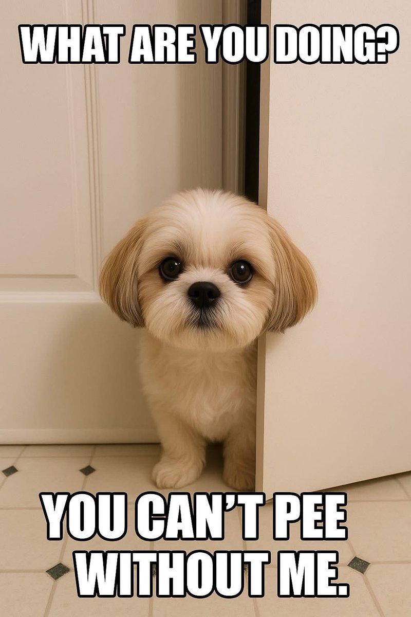 ChampneyLisa's tweet image. #WhenINeedTimeForMyself there’s no where to go. 🥴