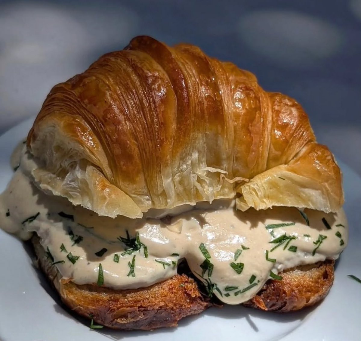 En otras noticias volvió la medialuna con vitel toné a Atelier Fuerza y es espectacular