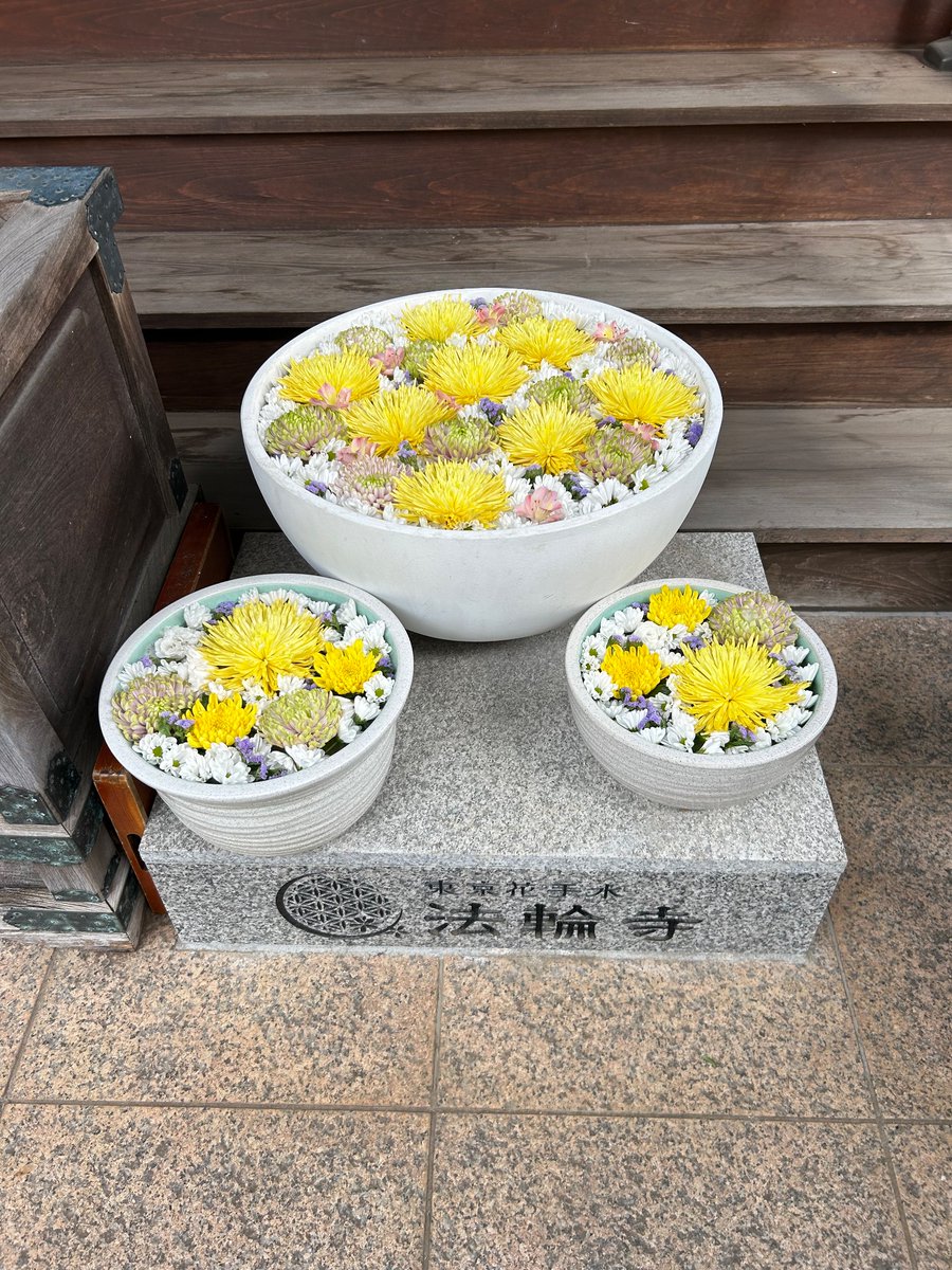 kimu_treeforest's tweet image. 【アメリカの公記録の発表が相次ぐ】

今日はアメリカで重要指標が一気に出て、市場が大きく揺れました。
実際の数値を入れて、初心者でも分かりやすくまとめます。

◆ 発表された主な指標（2025年9月分）
・CPI（消費者物価指数・全項目）
　前月比＋0.3％、前年比＋3.0％…