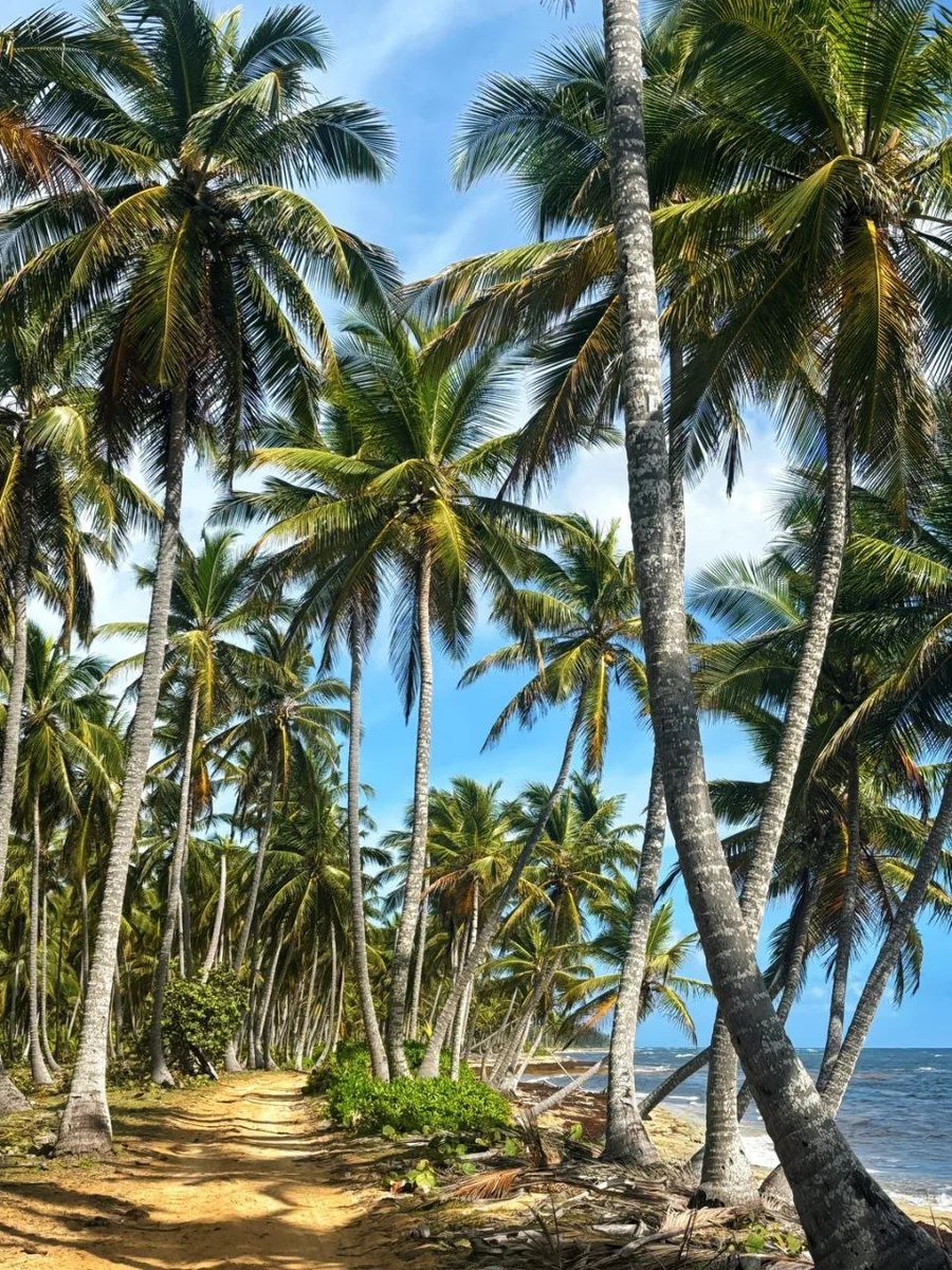 usebigkey's tweet image. 