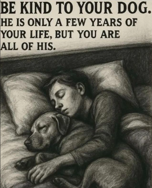 _XDogs's tweet photo. https://t.co/a0pl5je07B