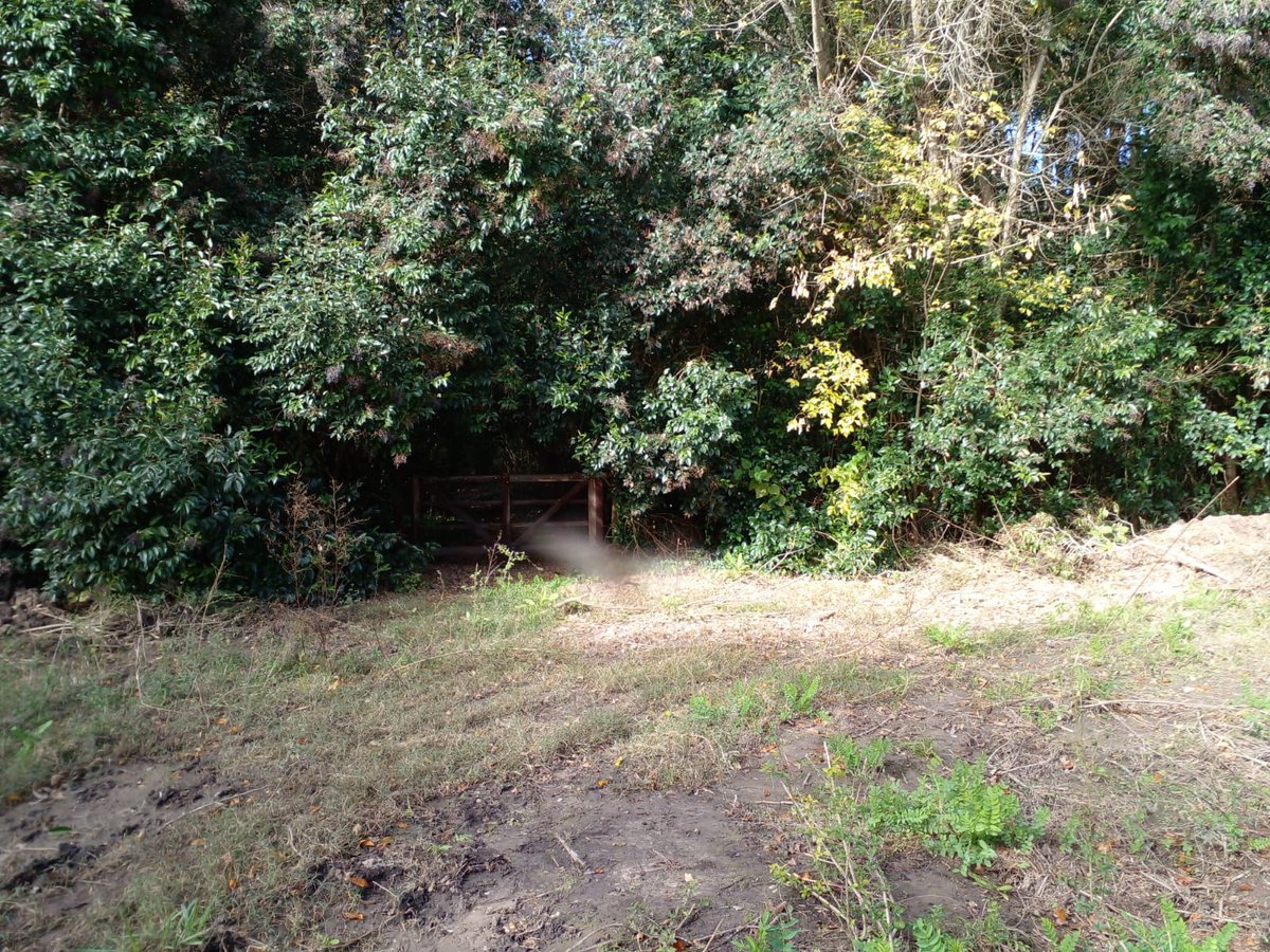 AgenciaSuburban's tweet image. #Berazategui 

La Justicia falla en favor del ambiente y suspende el #desmonte de #PuertoNizuc y #Elcano 

Lee la nota 👉
agenciasuburbana.com.ar/index.php/comp…