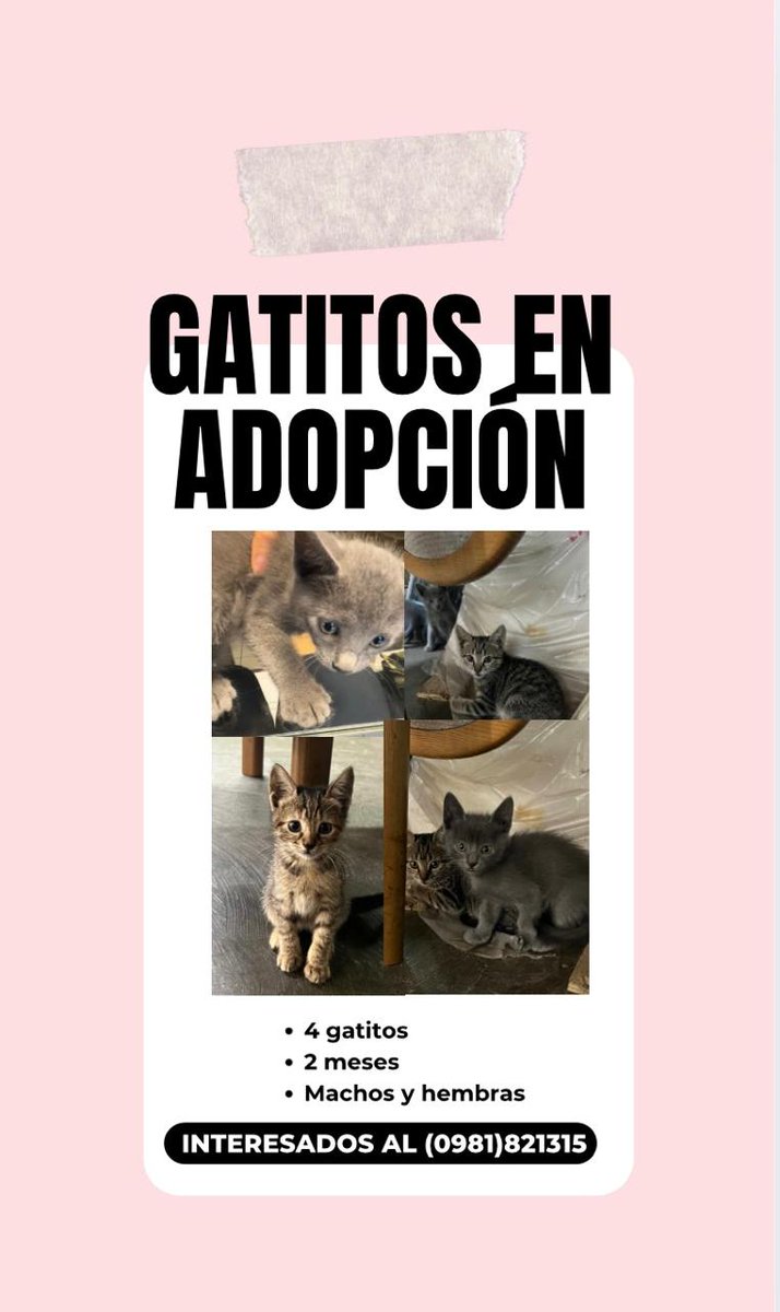 REPTZ (@ruthdemoab) on Twitter photo 