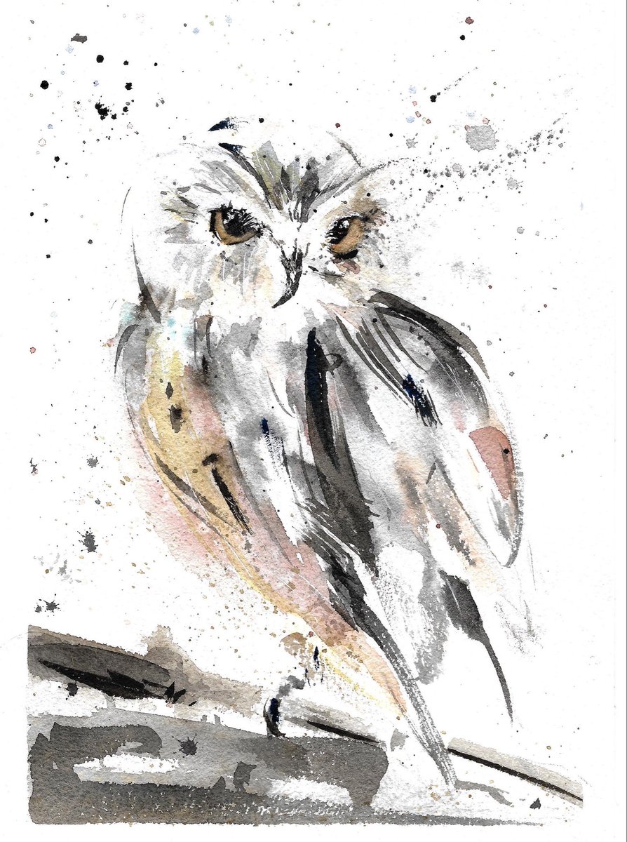 Aquí una acuarela de Dostoyevski 💙 instagram.com/p/DRPKiAkDCCC/…