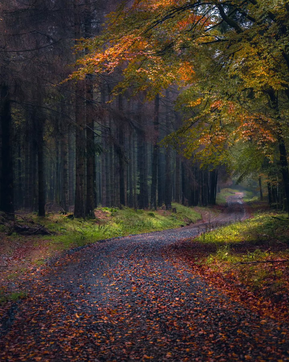 “Hold nothing back. Be gentle and strong . . .
Show your true colors till you prove to be 
right, and the rustling of leaves turns sweet.”

~ Peter Handke, 𝑊𝑎𝑙𝑘 𝐴𝑏𝑜𝑢𝑡 𝑡ℎ𝑒 𝑉𝑖𝑙𝑙𝑎𝑔𝑒𝑠
·

© Patrick Simon