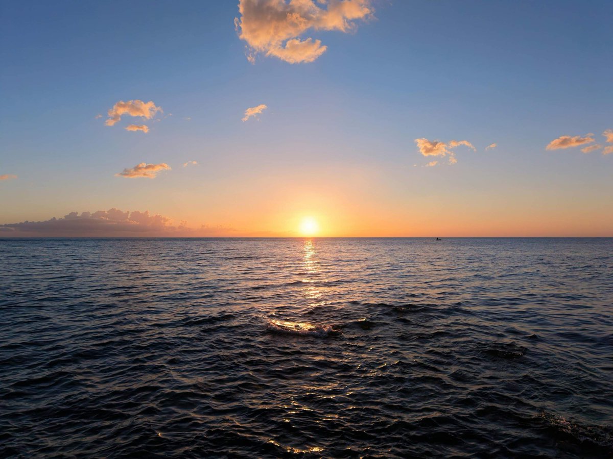 OGS_IT's tweet image. 🌊 Nuovo studio integrato, condotto da vari istituti di ricerca (OGS, CNR-ISMAR, CNR-ISP, CNR-IRBIM), ricostruisce i processi di formazione e circolazione di acque dense dalla piattaforma nord-adriatica fino allo Ionio profondo.

🔗 Leggi l&apos;articolo: agupubs.onlinelibrary.wiley.com/doi/10.1029/20…