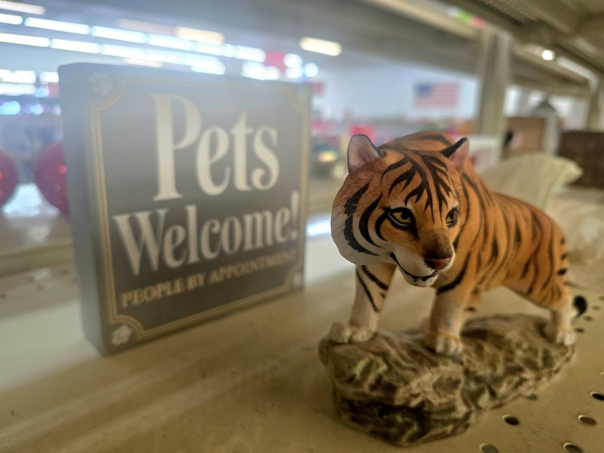 shadow_potato's tweet image. I feel that.