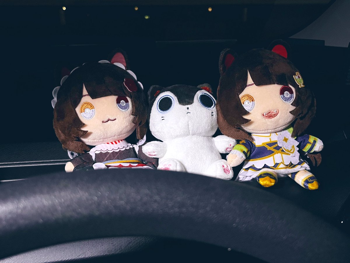 shinoholo35's tweet image. 共通衣装ぬい届いた！

#いぬいどんどんすきになる
#戌亥とこ