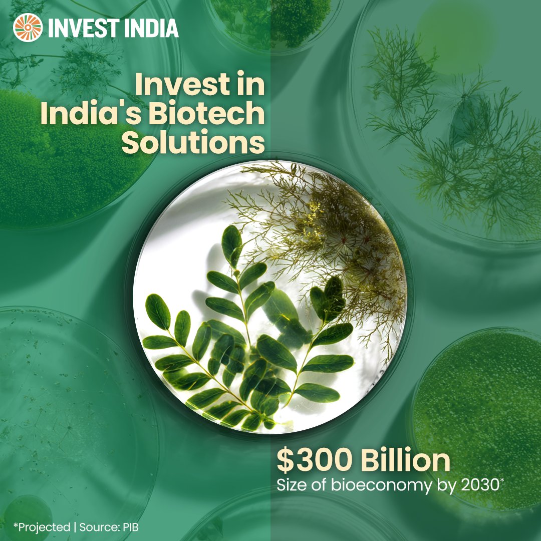 investindia's tweet image. #NewIndia’s growing #bioeconomy is powered by innovation, advanced R&amp;amp;D and skilled talent, building a strong industrial ecosystem and positioning the nation as a global leader in #biotechnology.

Invest in India’s thriving biotech ecosystem, visit: tinyurl.com/II-Biotechnolo…