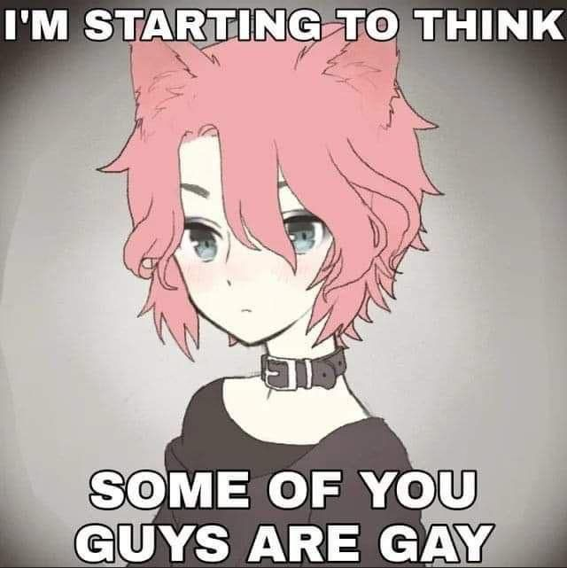 if economists are 20th rate mathematicians and physicists are third rate, then lawyers are second rate