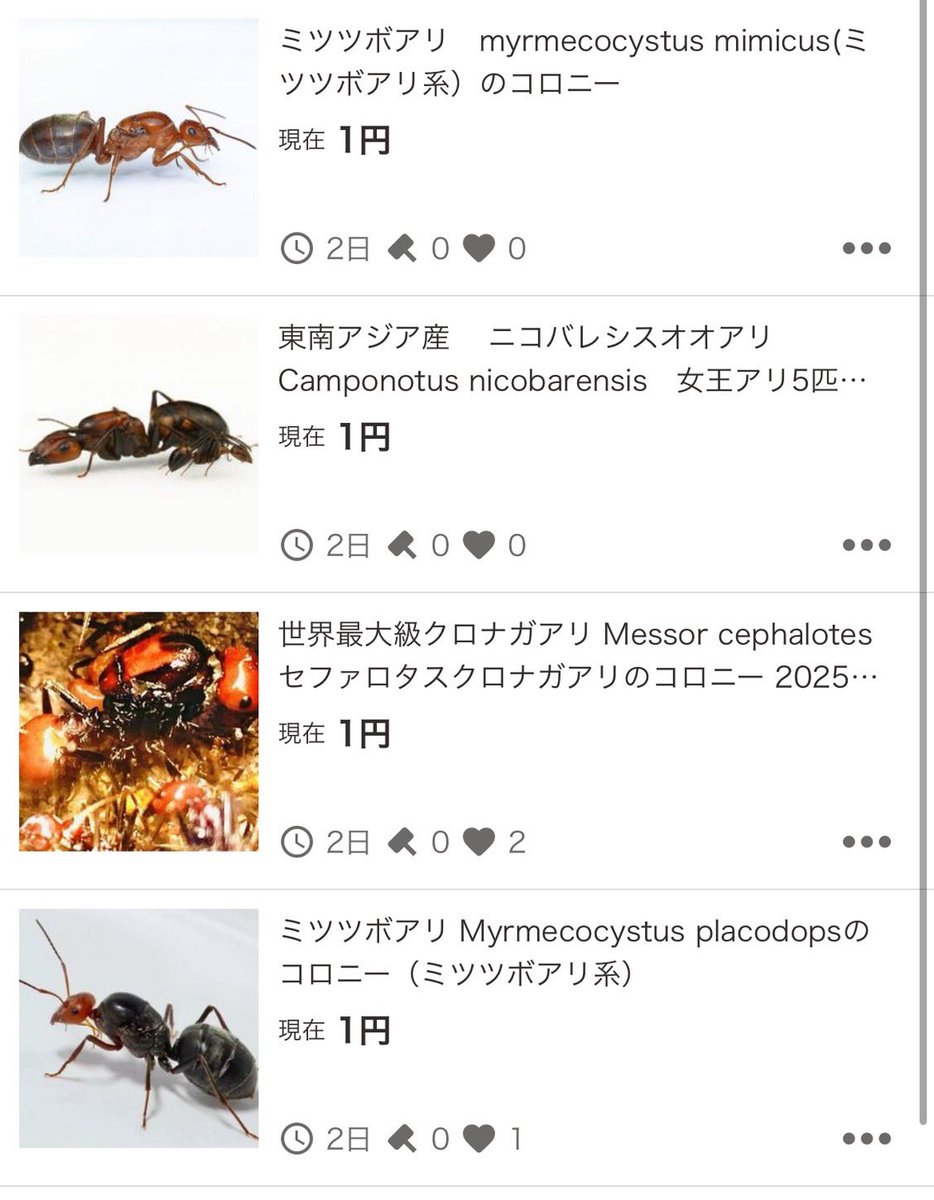 諸事情により再度オークションを開催いたします｜「 遠回りが一番の近道 」 Dump Truck Collision ①] My headlight was shattered by a dump