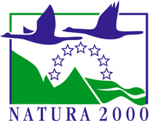 RWS_NN's tweet photo. 1/2: Het Waddengebied en de Noordzeekustzone staan de komende tijd voor belangrijke keuzes. We werken namelijk aan een nieuw #Natura2000 -beheerplan. We nodigen u graag uit om mee te denken! Op maandag 24 november organiseren we een inloopavond op #Schiermonnikoog #N2000 https://t.co/eL707y9JFB