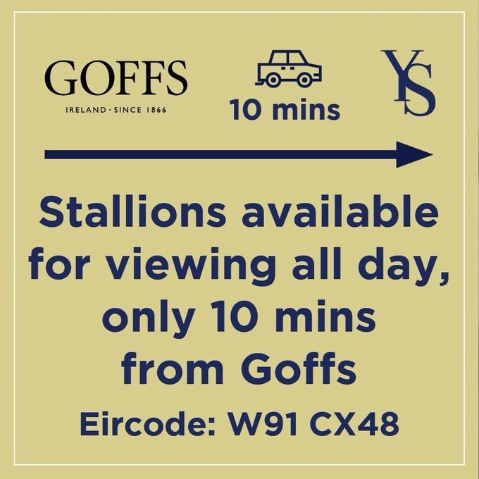 Yeomanstown Stud tweet media