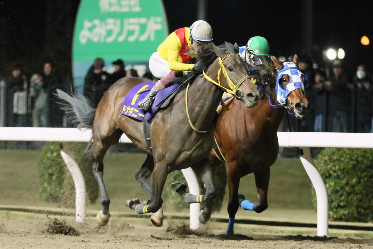 katsumaruclub's tweet photo. 【速報版】
ロジータ記念は３番手内でレースを進めた大井の #ドナギニー が直線鮮やかに抜け出しました‼️
「自信をもって乗りました。いい位置につけてレースができたので終いは切れてくれると思ってました」と笹川翼騎手。
これから古馬戦線に挑むことになります。

#地方競馬 #川崎競馬 https://t.co/eecQyStZyE