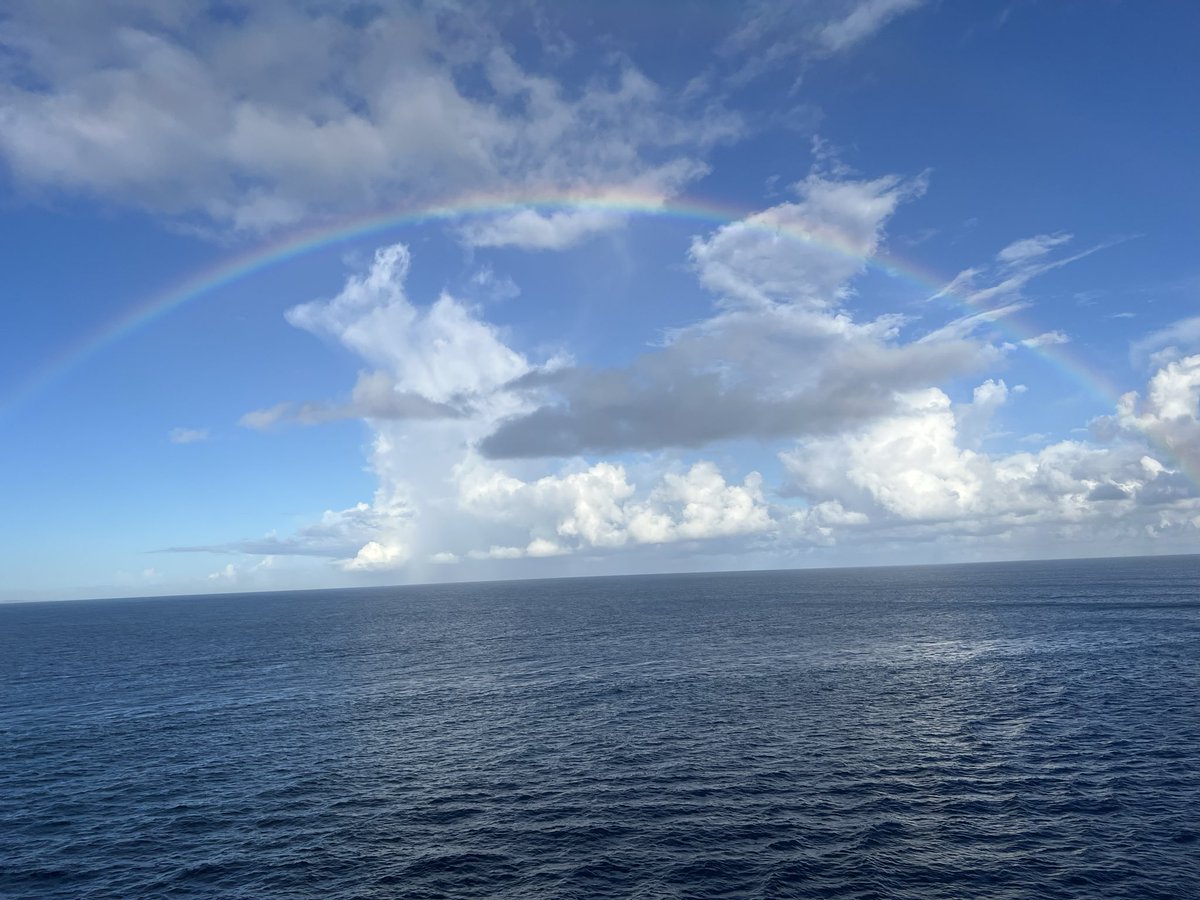 ☆Chris☆ tweet media