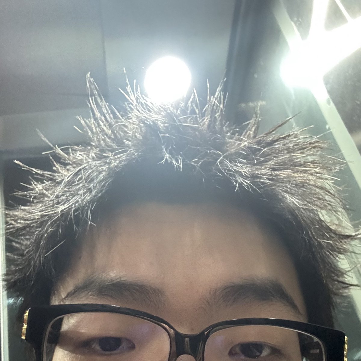 我也想你了
