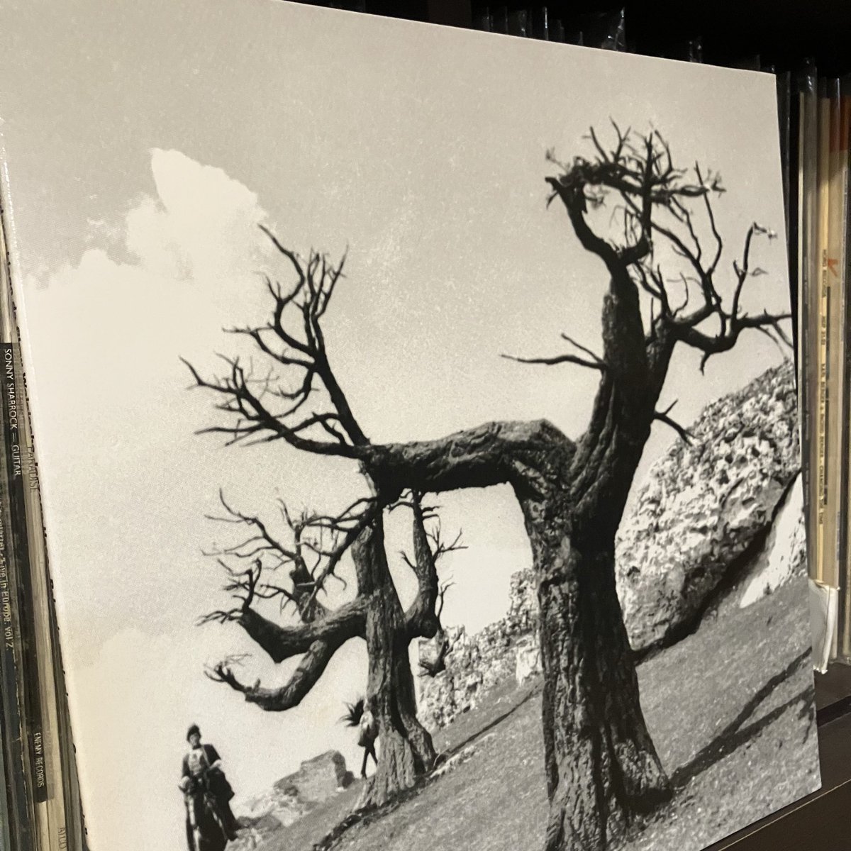 サラゴサの写本('65ポーランド) サラゴサの写本('65ポーランド) サラゴサの写本('65ポーランド) Amazon