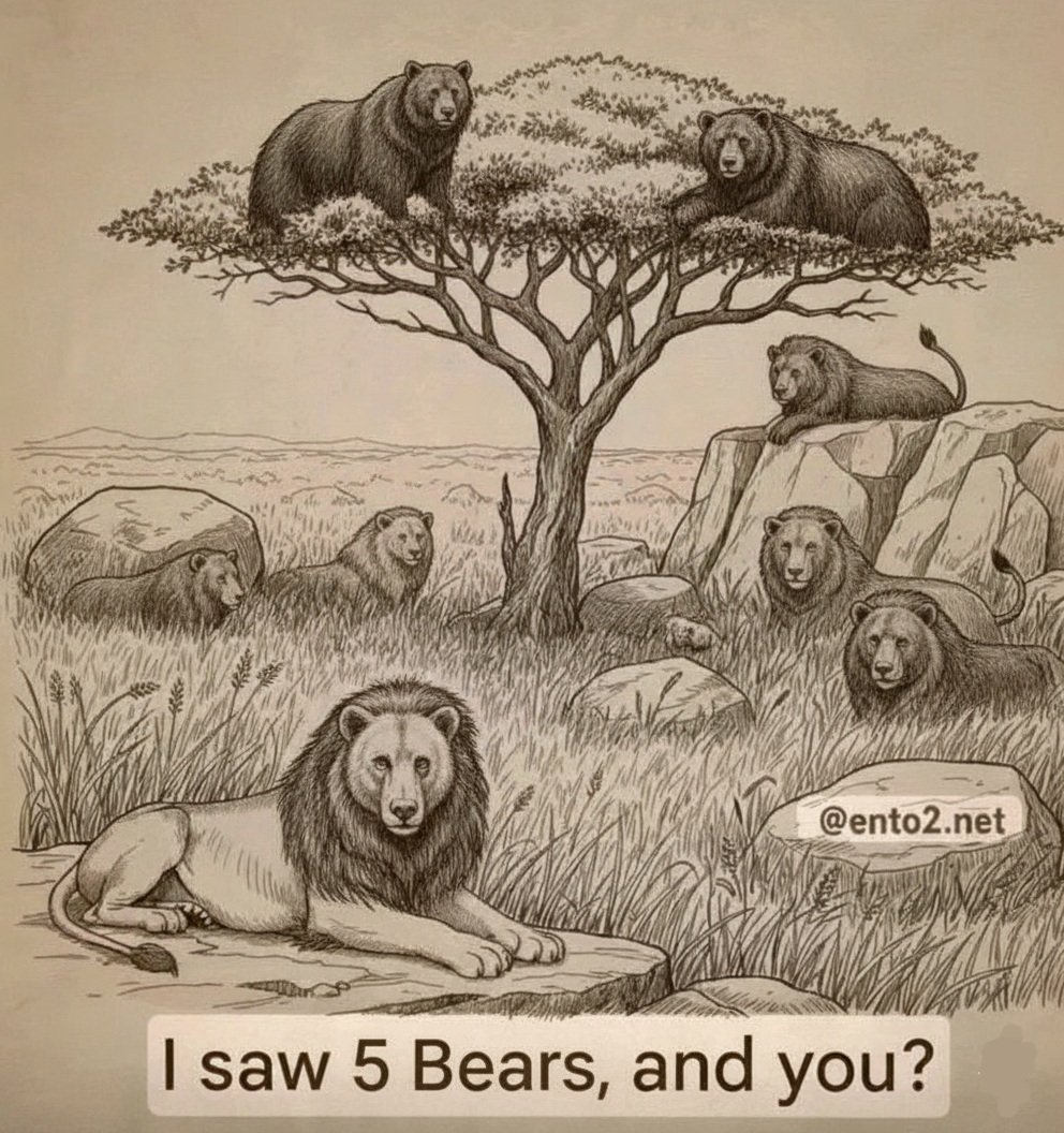 Jpaul7474's tweet photo. @binance How many bears can you see. https://t.co/fddSJtCPkP