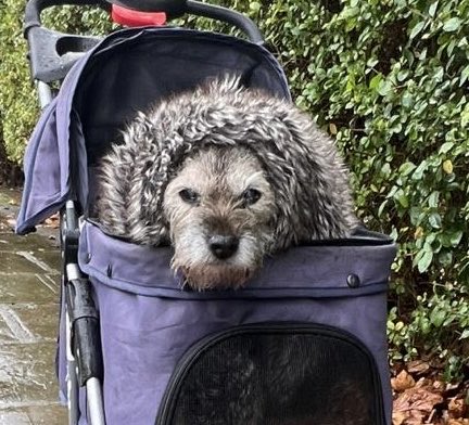emmameaden1's tweet image. Apparently, this makes random hoos laugh. Bit rood, what else is an old man gonna do on a snowy day? Pfft 🙄#BTPosse