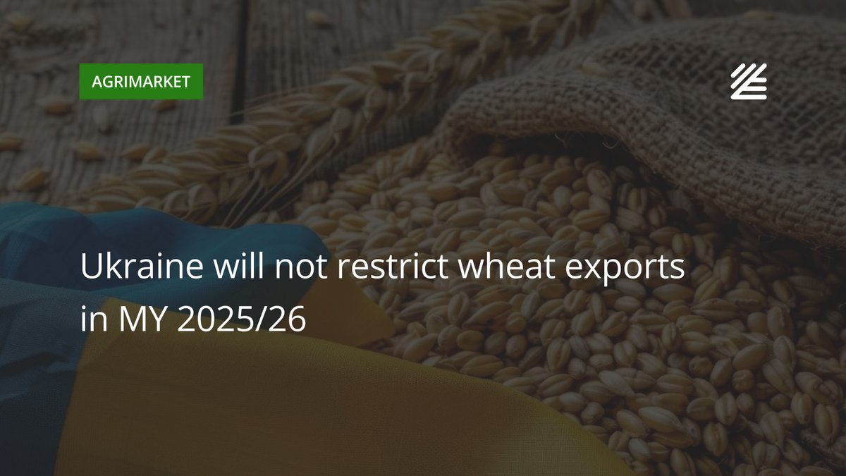 UkrAgroConsult's tweet image. 🇺🇦 #Ukraine will not #restrict #wheat #exports

Ukraine does not plan to impose restrictions on wheat exports in the 2025/26 season, Deputy Economy Minister Taras Vysotsky said. 

Read more 👉salo.li/478151D