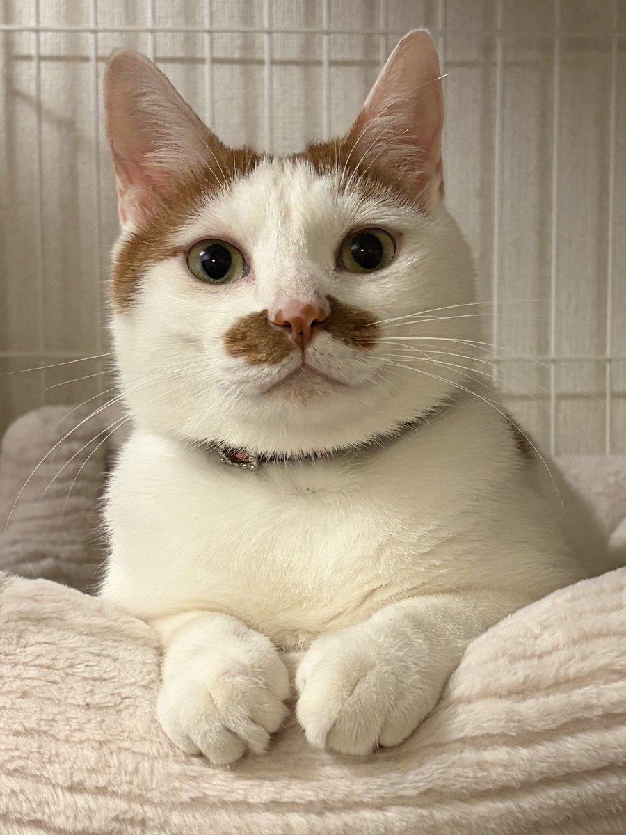 AKKE (@akke299) / Posts / X