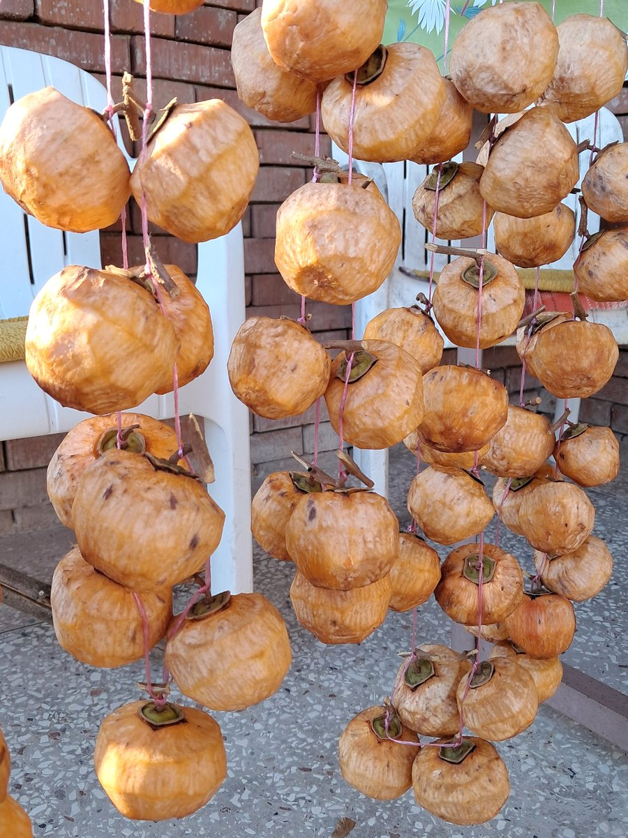 nobuyo5696's tweet image. 毎年この時期、ジョージア西部のありとあらゆる村のありとあらゆる家庭で作られる干し柿。今の宿でももちろん大量に干されてる。